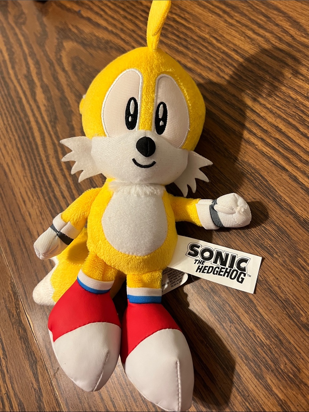 Sonic the hedgehog